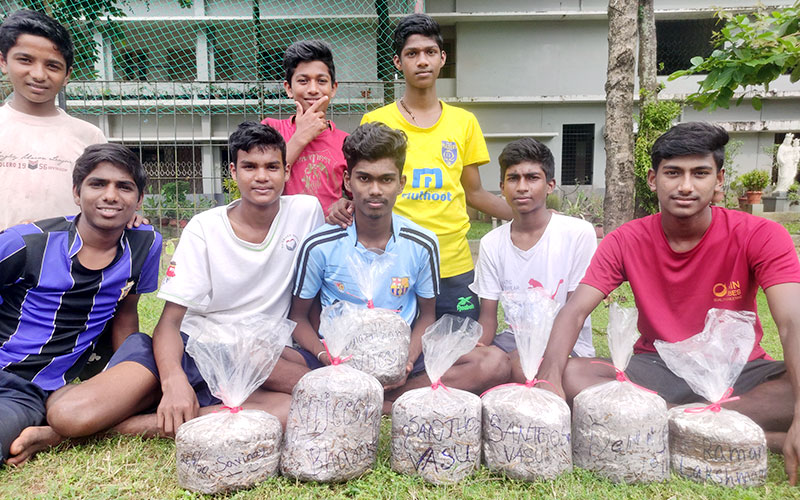 mushroom-cultivation-training